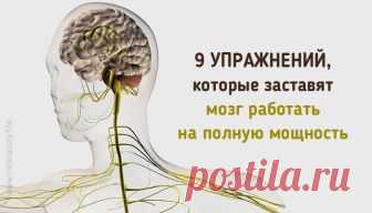 9 кинезиологических упражнений, которые заставят мозг работать на полную мощность Кинезиологических упражнений разработано немало — я отобрала из них только те, которые удобно выполнять в положении сидя, в том числе во время работы на компьютере.