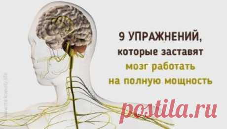9 кинезиологических упражнений, которые заставят мозг работать на полную мощность Кинезиологических упражнений разработано немало — я отобрала из них только те, которые удобно выполнять в положении сидя, в том числе во время работы на компьютере.
