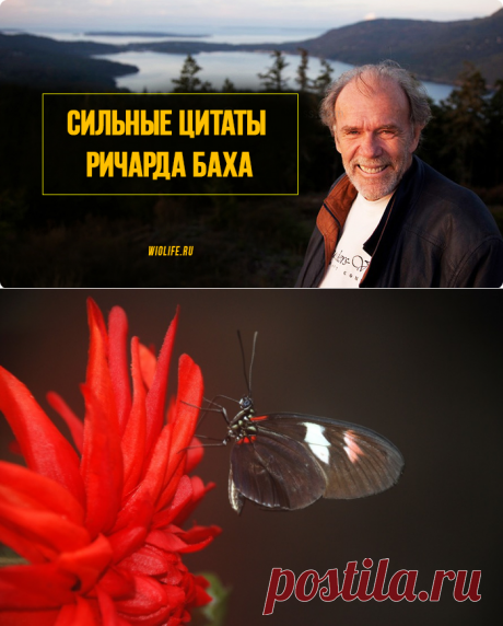 Если ты хочешь, чтобы кто-то остался в твоей жизни, — никогда не относись к нему равнодушно. Сильные цитаты из книг Ричарда Баха
Ричард Дэвид Бах наибольшую известность получил как автор философско-эзотерических притч: «Чайка по имени Джонатан Ливингстон», «Иллюзии, или приключения Мессии, который Мессией быть не хотел». За романтизм и страсть к полету, которыми проникнуты эти книги, бывшего...
Читай дальше на сайте. Жми подробнее ➡