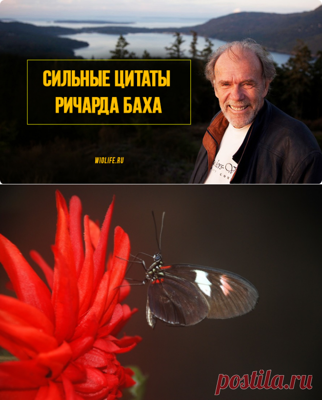 Если ты хочешь, чтобы кто-то остался в твоей жизни, — никогда не относись к нему равнодушно. Сильные цитаты из книг Ричарда Баха
Ричард Дэвид Бах наибольшую известность получил как автор философско-эзотерических притч: «Чайка по имени Джонатан Ливингстон», «Иллюзии, или приключения Мессии, который Мессией быть не хотел». За романтизм и страсть к полету, которыми проникнуты эти книги, бывшего...
Читай дальше на сайте. Жми подробнее ➡