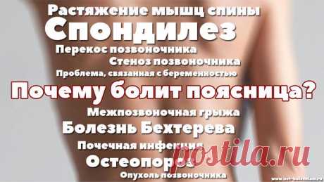 Боль в пояснице? 10 причин, из-за которых может болеть спина и что можно сделать? 

Больной межпозвоночной грыжей сталкивается с такими признаками:

    - болевые ощущения при наклонении;
    - чувство боли исчезает или улучшается при лежании;
    - боль отдаёт в ногу после физической нагрузки, чиханья или кашля.

Физиотерапия, отдых в кровати, приёма анальгетиков, а также ношение ремня поддержки улучшает самочувствие больного.

В качестве лечения используется мануальная т...