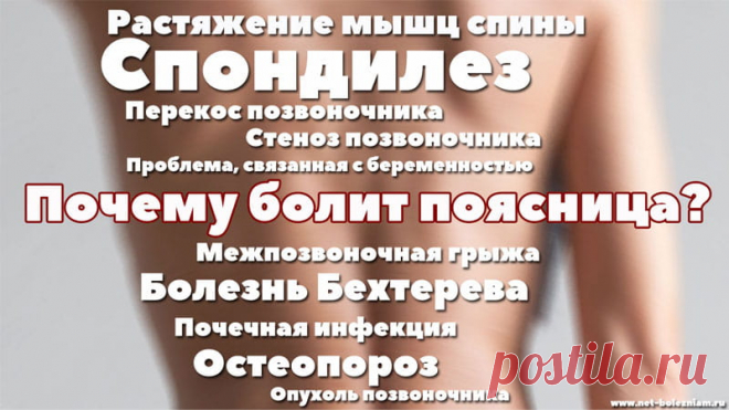 Боль в пояснице? 10 причин, из-за которых может болеть спина и что можно сделать? 

Больной межпозвоночной грыжей сталкивается с такими признаками:

    - болевые ощущения при наклонении;
    - чувство боли исчезает или улучшается при лежании;
    - боль отдаёт в ногу после физической нагрузки, чиханья или кашля.

Физиотерапия, отдых в кровати, приёма анальгетиков, а также ношение ремня поддержки улучшает самочувствие больного.

В качестве лечения используется мануальная т...