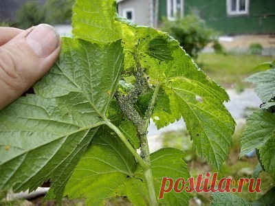 2 непрочитанных чата