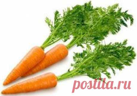 Копилка каротина