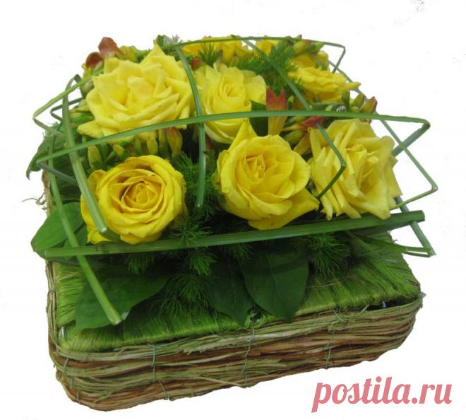 В гостях у Михалыча