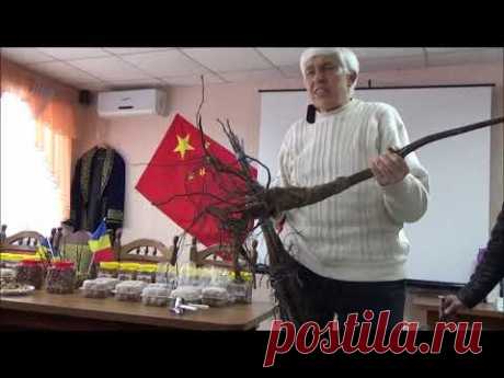 Семинар по ореховодству. Однолетка или двухлетка. Февраль 2018