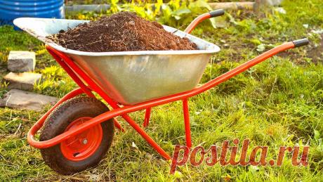 Вред и польза от использования навоза на дачном огороде