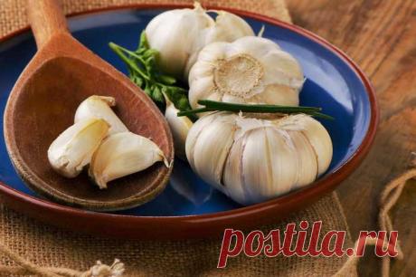 Зачем класть чеснок в горшки с цветами — Полезные советы