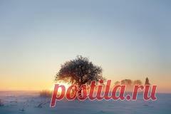 1 марта в народном календаре День Федора Тирона и Мариамны Кикиморы