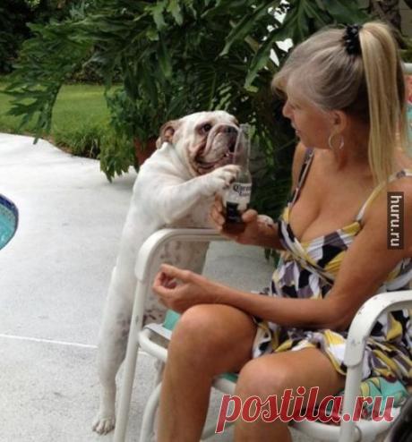 Huru.ru :: «Не пей, козленочком станешь»