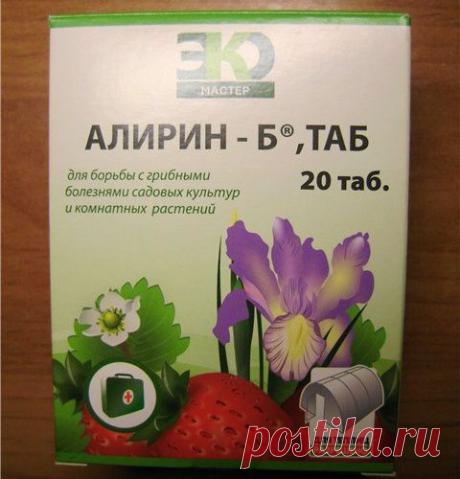 Чем лечить растения