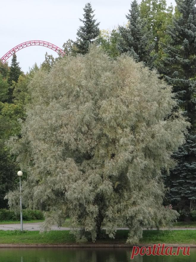 Правило на каждый день: «Не забываем баловать себя»
Каждый день обязательно нужно баловать себя. Позволять себе то, что будет наполнять положительной энергией. То, что позволит вам ощутить себя человеком, стоящим на высокой горе. Человеком, которого овевает ветер свободы и вдохновения. Часто, когда женщина хочет позволить себе что-то, можно услышать даже от родных людей: «Ты что, барыня»? Или: «Не принцесса, сама справишься». Или: «Ну […]
Читай дальше на сайте. Жми подробнее ➡