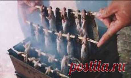 Копчение в коптильне. Коптильня для рыбы, мяса, курицы, сала: как коптить в коптильне