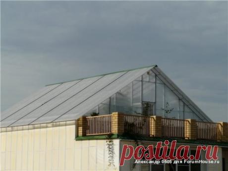 Оранжерея на крыше: выращивание экзотических фруктов круглый год - Статья - Журнал - FORUMHOUSE