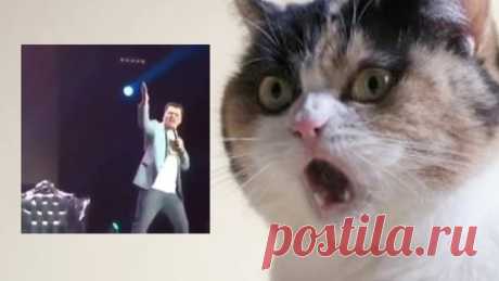 Гарик Харламов  Опять метель , какого .......  уже апрель (+16)