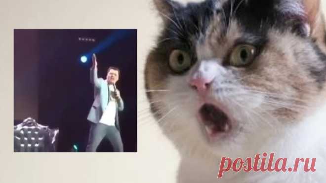 Гарик Харламов  Опять метель , какого .......  уже апрель (+16)