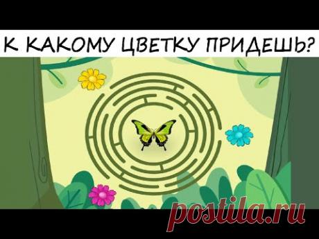 Тест на желание! Ментальный лабиринт даст точный ответ! 100%