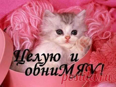 Для любимой !!!!!