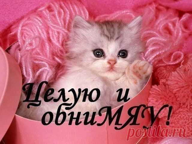 Для любимой !!!!!
