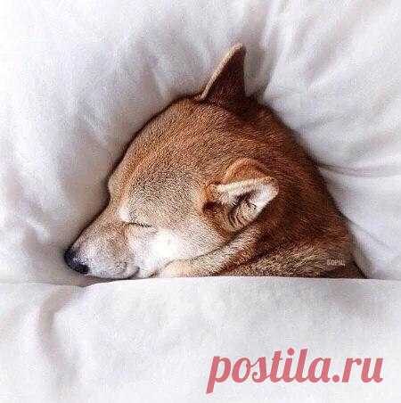 - Какие планы на выходные?
- Грандиозные...