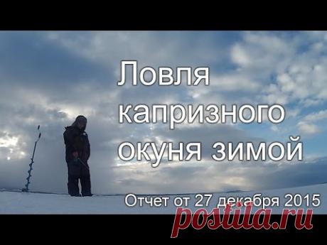 Ловля капризного окуня - YouTube