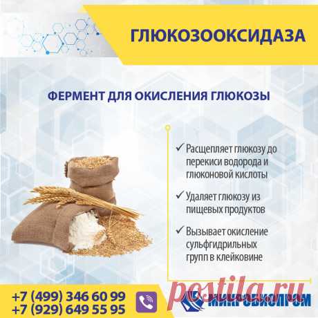 Глюкозооксидаза - фермент катализирует окисление глюкозы молекулярным кислородом с образованием перекиси водорода и глюконовой кислоты. Глюкозооксидаза - это димерный белок, который содержит в качестве кофактора флавинадениндинуклеотид (ФАД), распространённый компонент окислительно-восстановительных реакций. Фермент глюкозооксидаза эффективно применяется в мукомольной и хлебобулочной промышленности, для улучшения качественных характеристик муки и теста.
