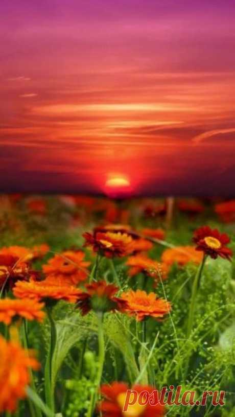Belle nature