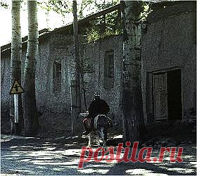 он сказал поехали и взмахнул камчёй