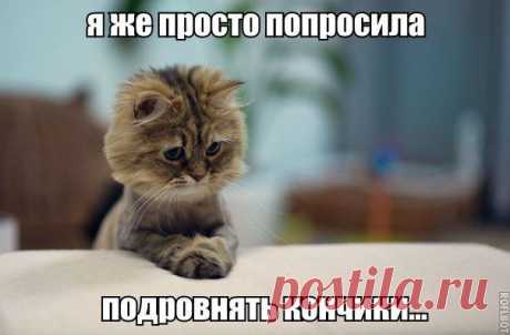 :( вот так всегда