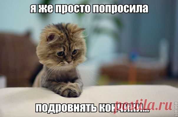 :( вот так всегда