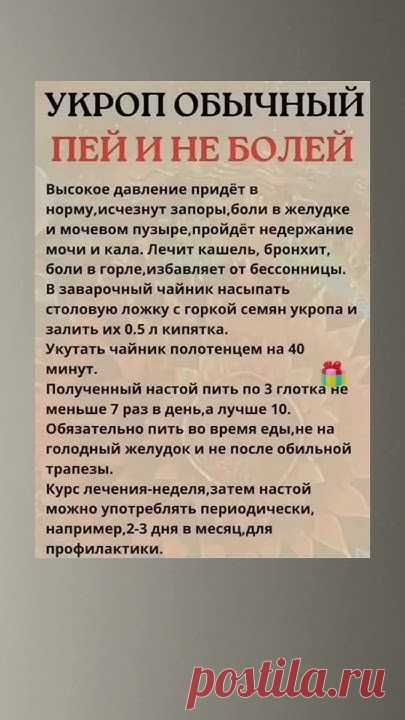 Укроп и польза