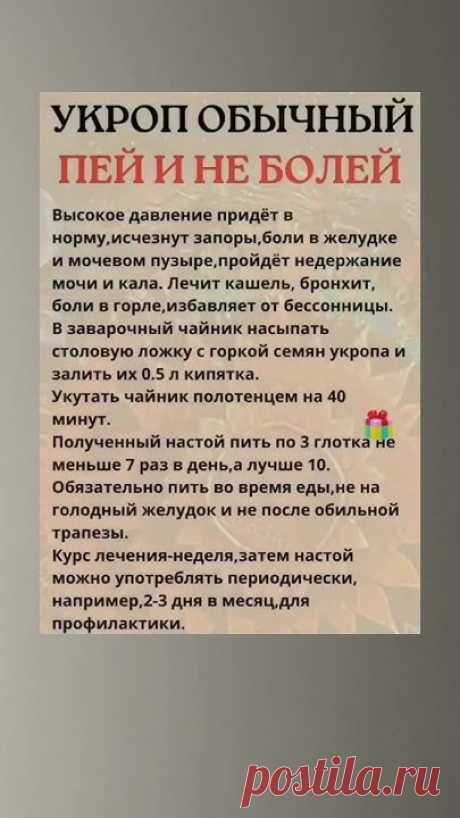 Укроп и польза
