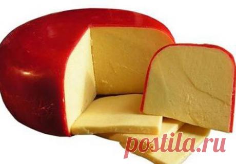 Сыр Гауда в домашних условиях. Рецепт