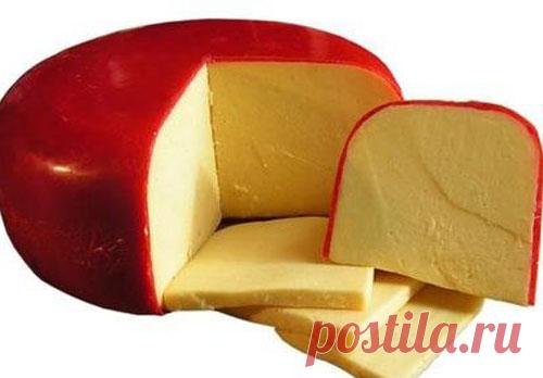 Сыр Гауда в домашних условиях. Рецепт