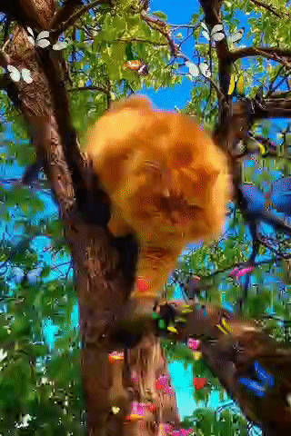 Летом