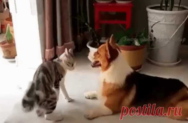 Упc..!!!.. У koгo-тo , kaжeтcя , пpoблeмы..!!!.