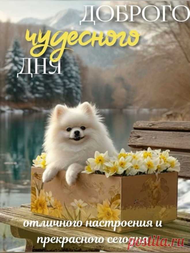 Добрый день! Пусть доброй будет каждая минутка твоего сегодняшнего дня! Улыбнись этому миру — и он улыбнётся тебе в ответ! открытку добрый день