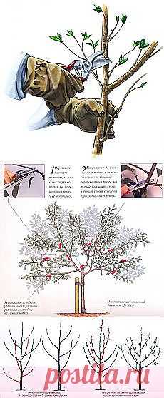 Письмо «Утиное тимбале и другие материалы. Новое в Вашей подборке на Постила.ru» — Постила.ru — Яндекс.Почта