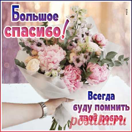 Большое, чистое «спасибо»
Мы с искренностью говорим.
За помощь и за понимание
От всей души благодарим.