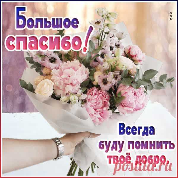 Большое, чистое «спасибо»
Мы с искренностью говорим.
За помощь и за понимание
От всей души благодарим.