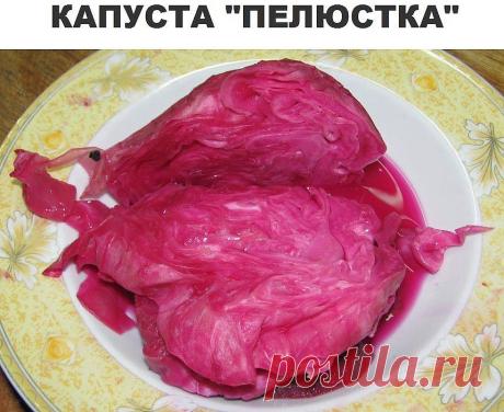 (21) Одноклассники