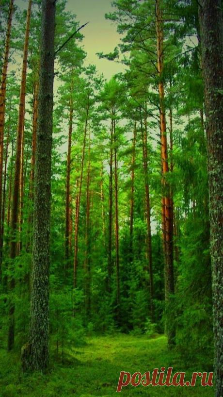 Найдено на сайте Uploaded by user.