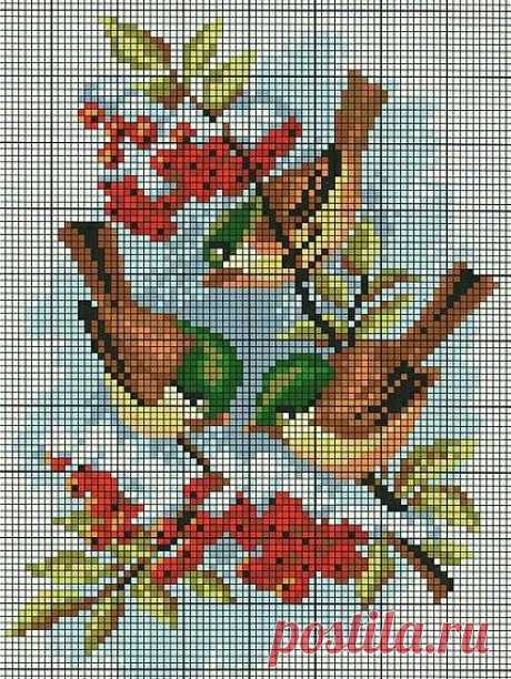(13) Pinterest