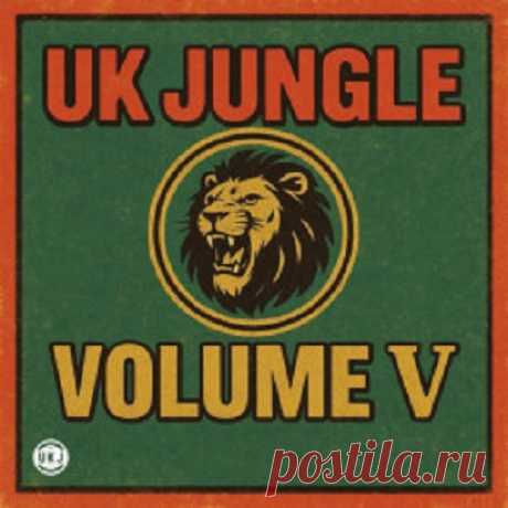VA - UK JUNGLE VOLUME.5 free download mp3 music 320kbps