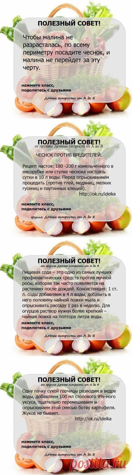 ПОЛЕЗНЫЕ 4 СОВЕТА !!!
