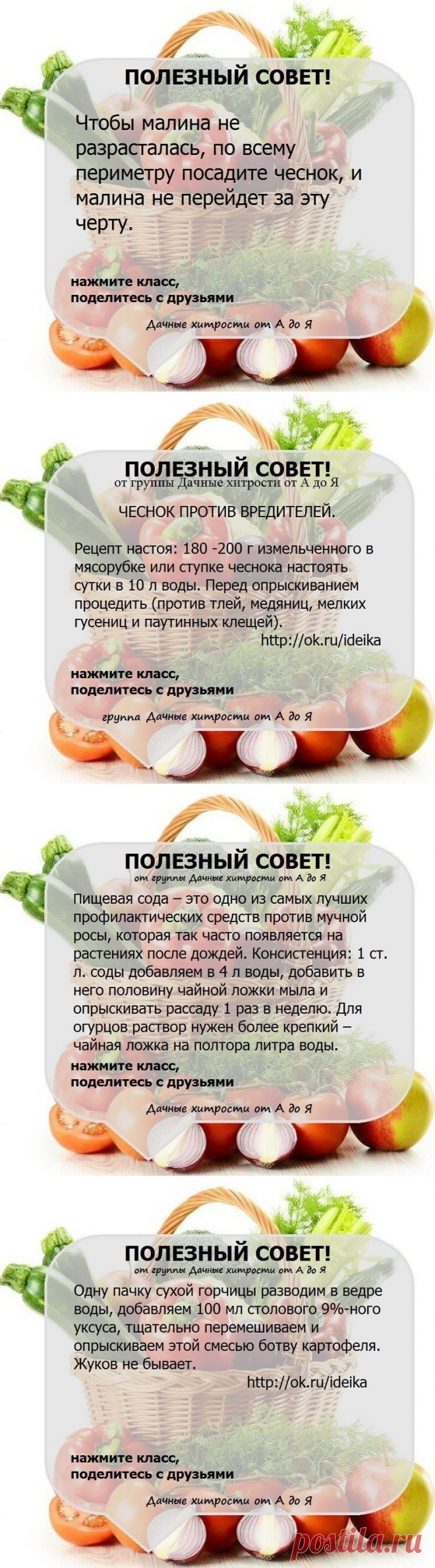 ПОЛЕЗНЫЕ 4 СОВЕТА !!!
