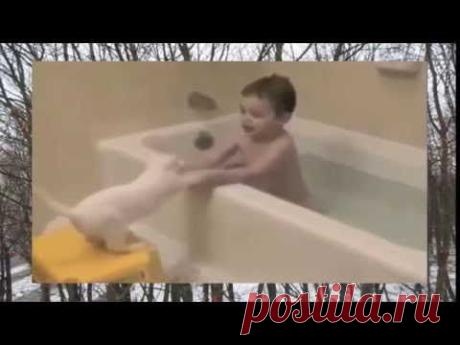 Прикольные котяры 2