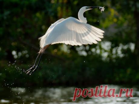 CATCH by SIJANTO NATURE / 500px