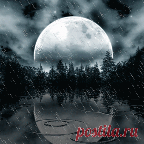 a635bef2597b26d2529da2a1bf5e55ab.gif (800×800)
