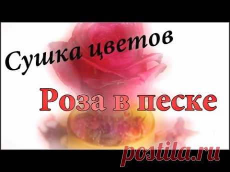 Роза в песке | Объемная сушка цветов